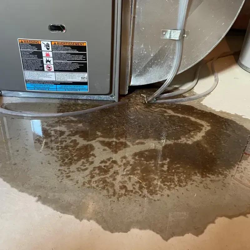 Appliance Leak Cleanup in Orland, ME